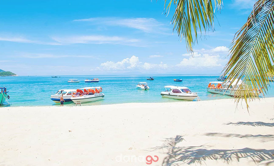 Tour Quy Nhơn Đi Đà Nẵng