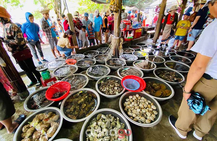 Tour An Giang Đi Đà Nẵng 