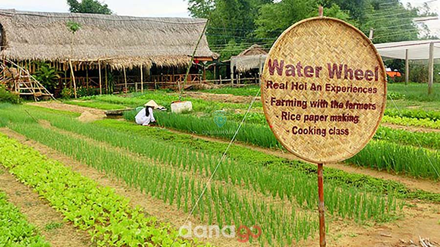 Tour Ninh Bình Đi Đà Nẵng
