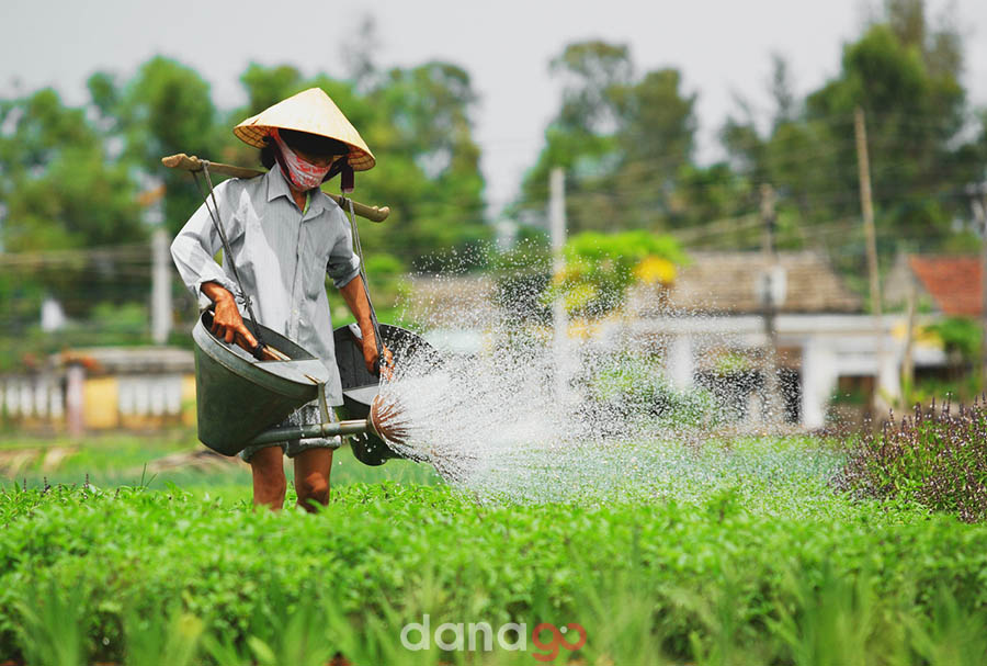 Tour Vinh Đi Đà Nẵng