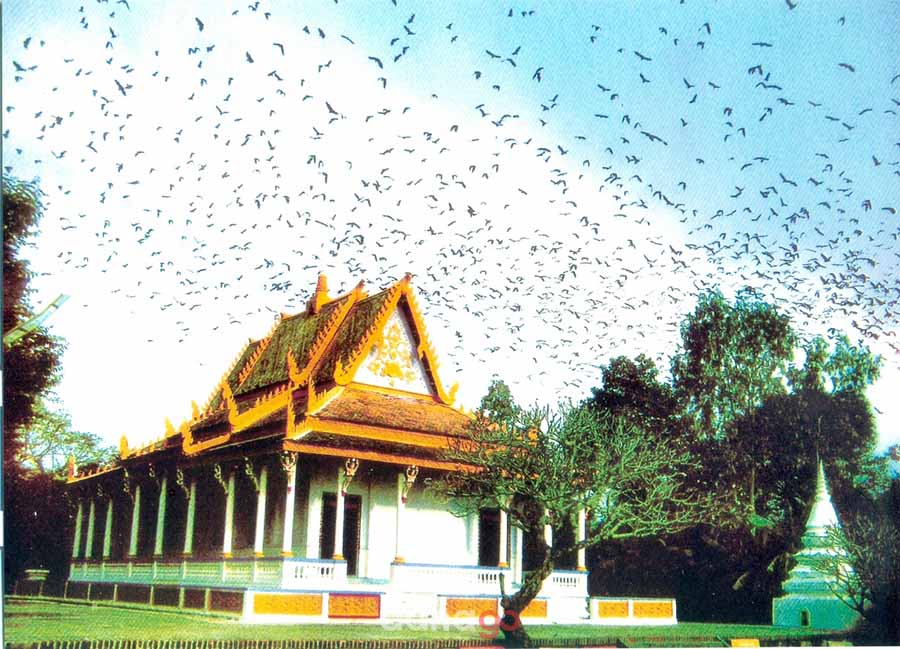 Tour Đà Nẵng Đi Cà Mau